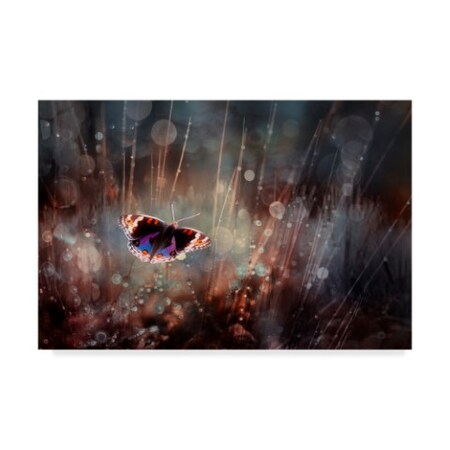 Trademark Fine Art Rooswandy Juniawan 'Traped' Canvas Art, 16x24 1X05443-C1624GG